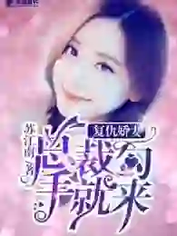 Revenge and Lovely Wife: The President's hook came