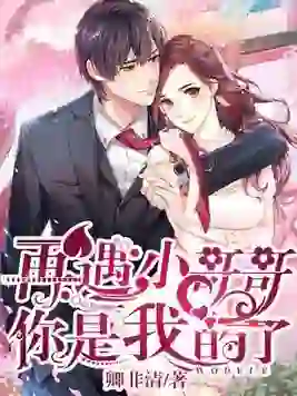 Meet Little Brother again, you're mine