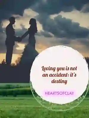 Loving You Is Not An Accident: It's Destiny