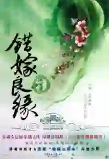 A Mistaken Marriage Match: Record of Washed Grievances